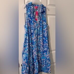 Lilly Pulitzer Malone Dress | XL